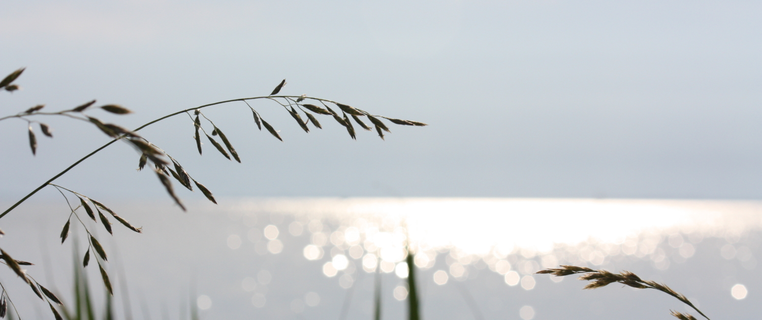 Bodden_Saal_1