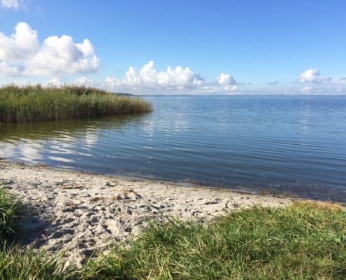 Bodden_Saal_4